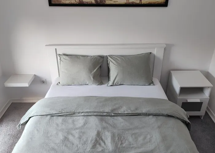 Ingrid * 贝尔格莱德